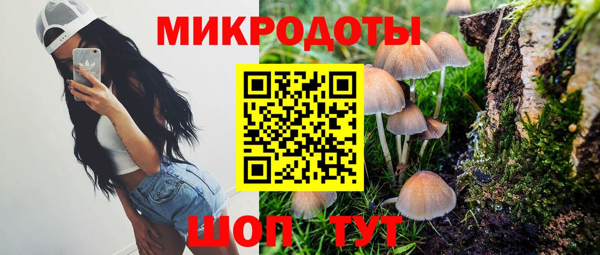 Галлюциногенные грибы GOLDEN TEACHER Дальнереченск