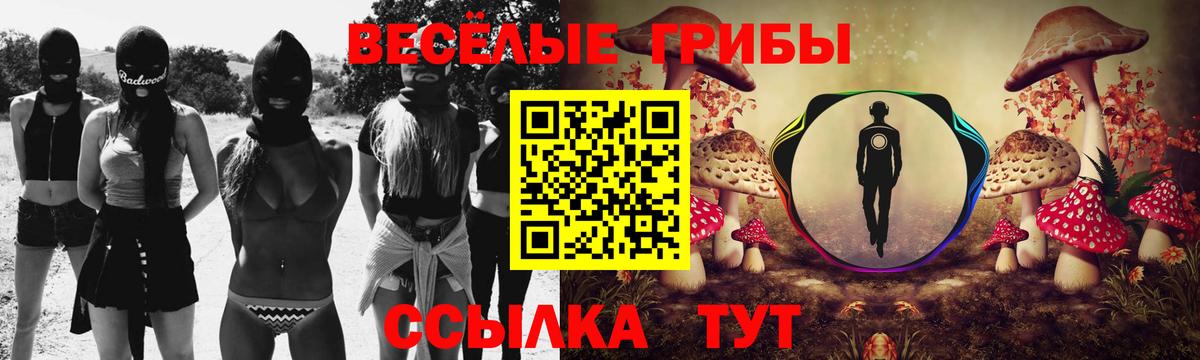 Псилоцибиновые грибы Psilocybine cubensis  Вход с VPN  Дальнереченск 