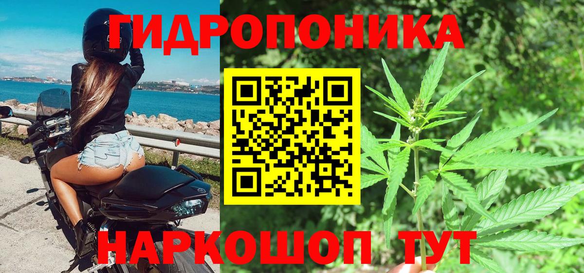 Конопля сатива Дальнереченск